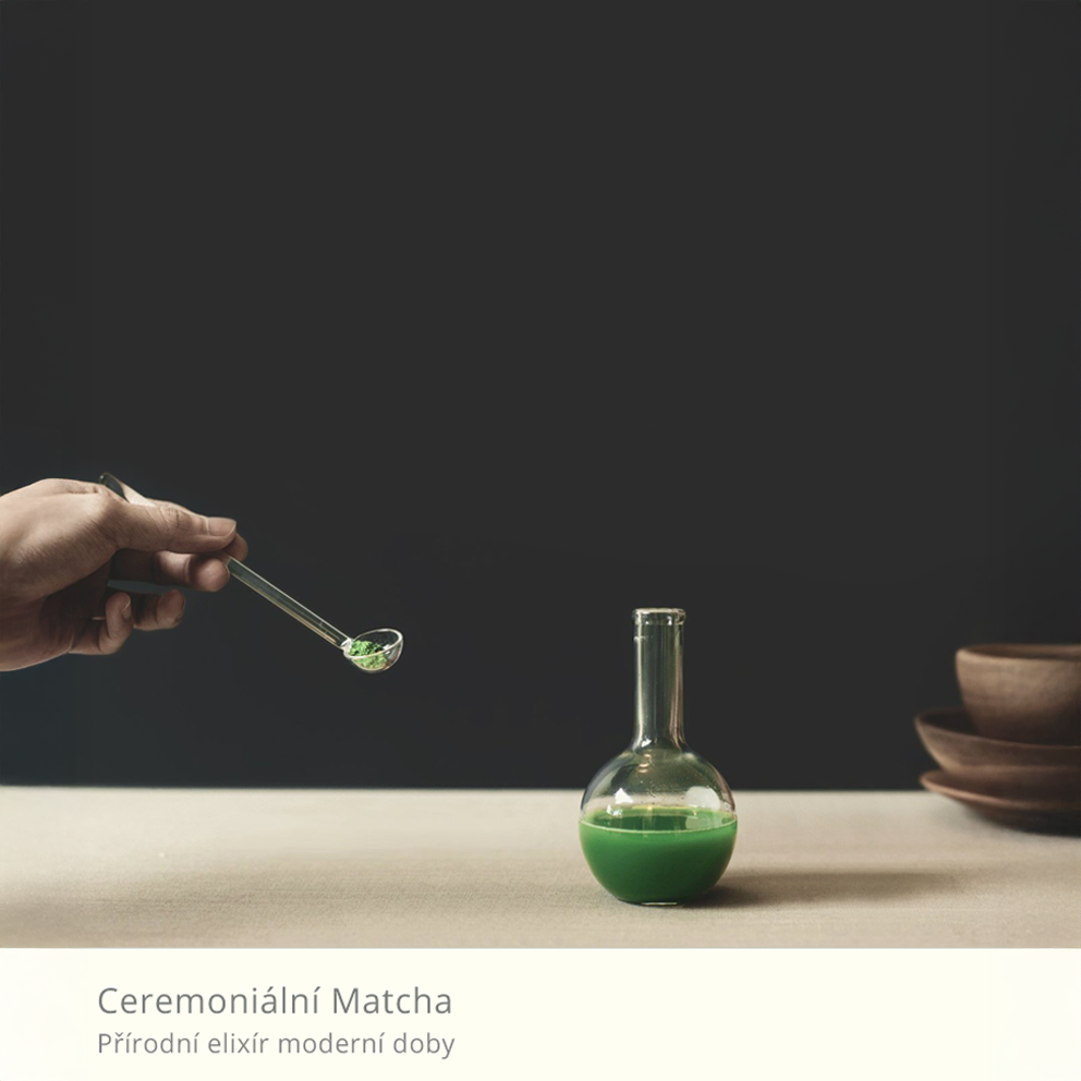 Coding - Matchaeologist ceremonial matcha banner